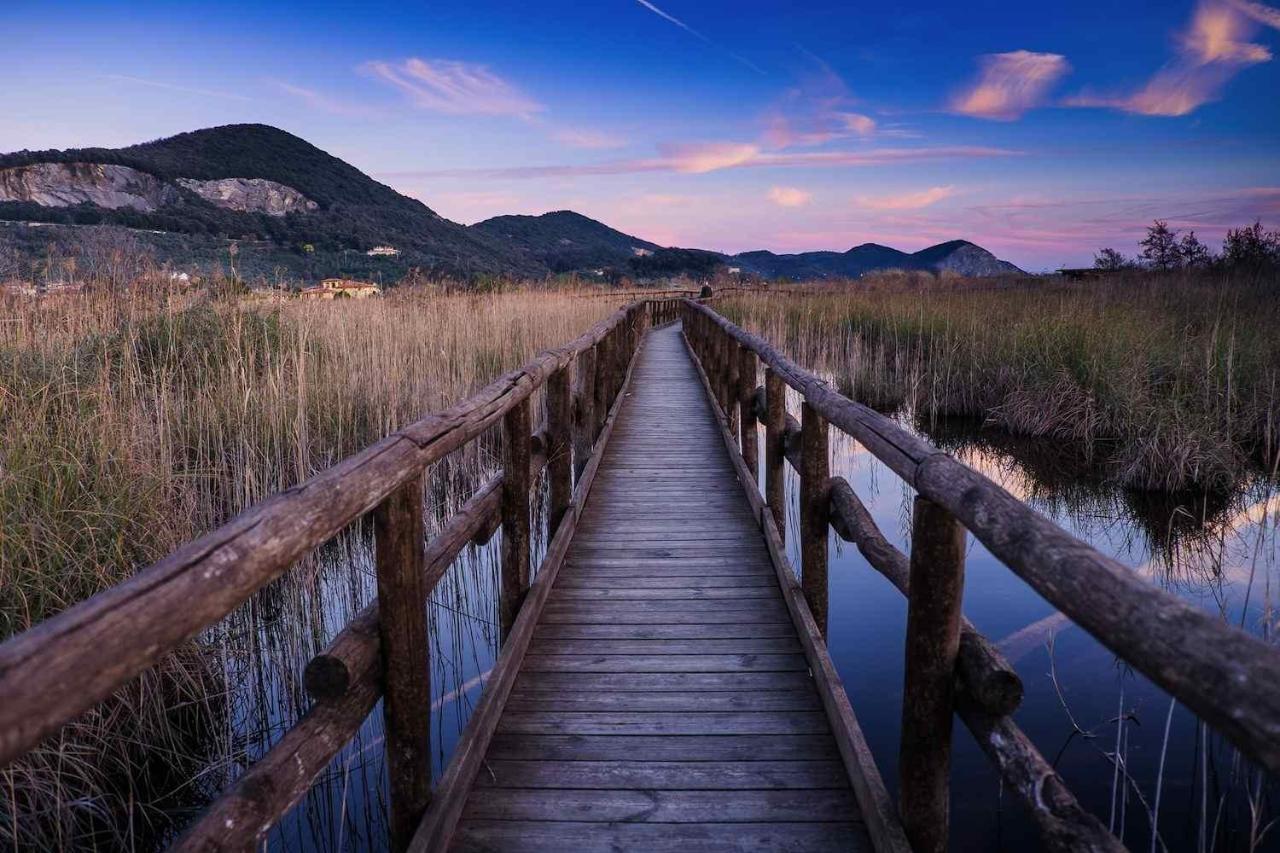 I Levrieri Hotel Torre del Lago Puccini Luaran gambar